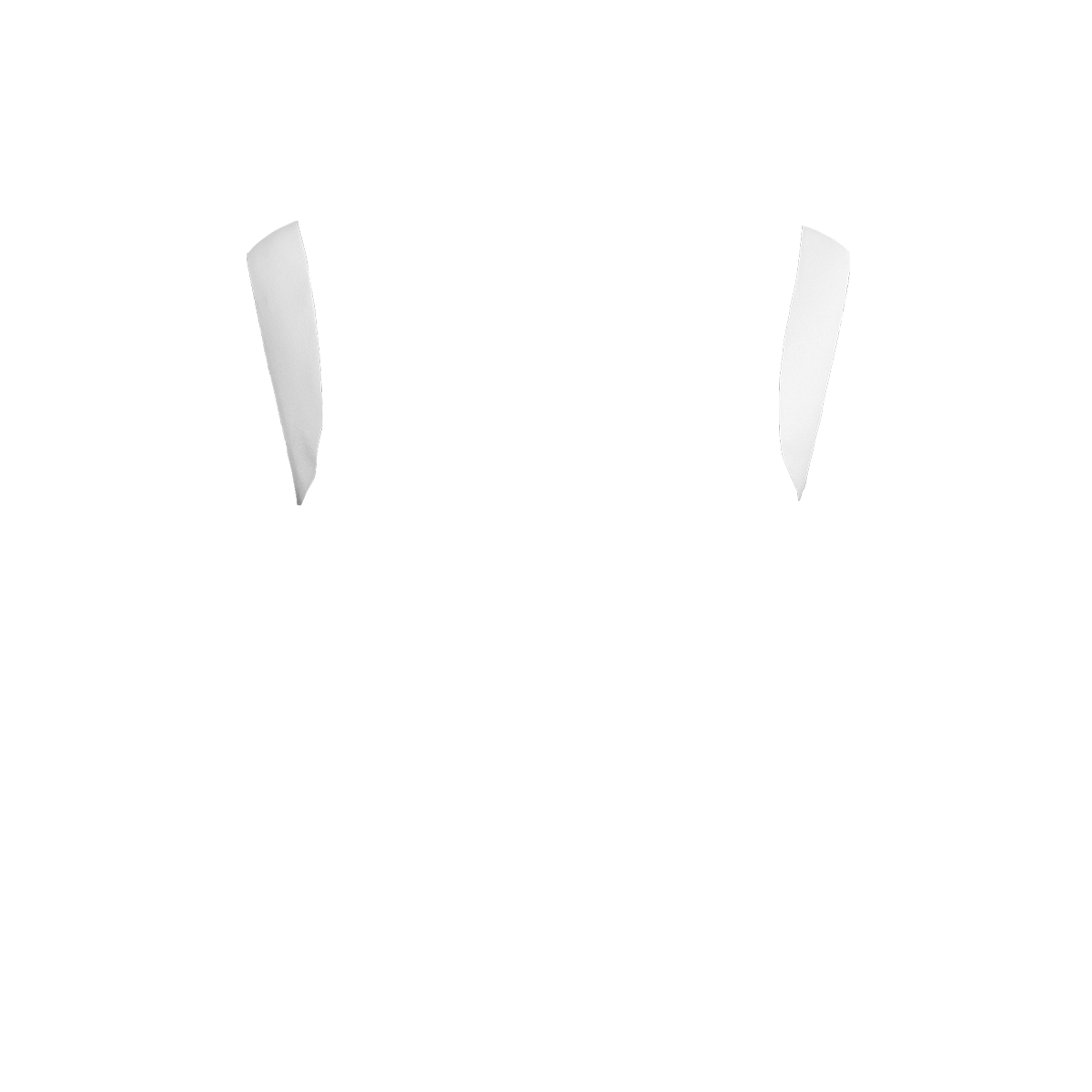Shoulders